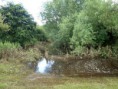 /album/my-local-birding-gallery/entrance-to-kerries-reserve-blocked-because-of-flooding-jpg/